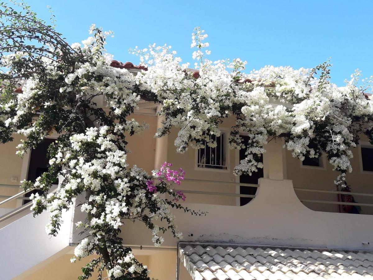 Makis Apartments Arillas  Zewnętrze zdjęcie
