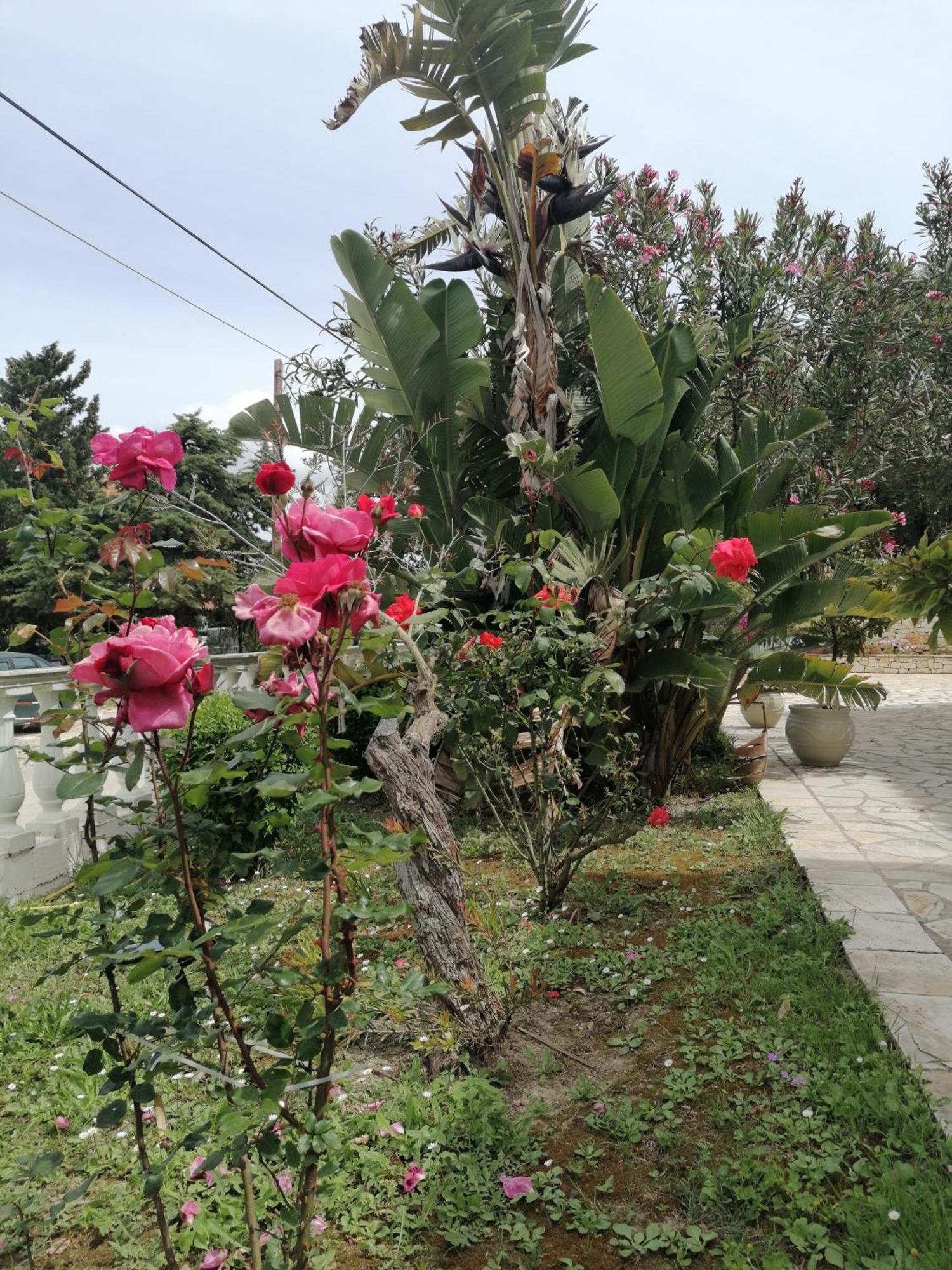 Makis Apartments Arillas  Zewnętrze zdjęcie