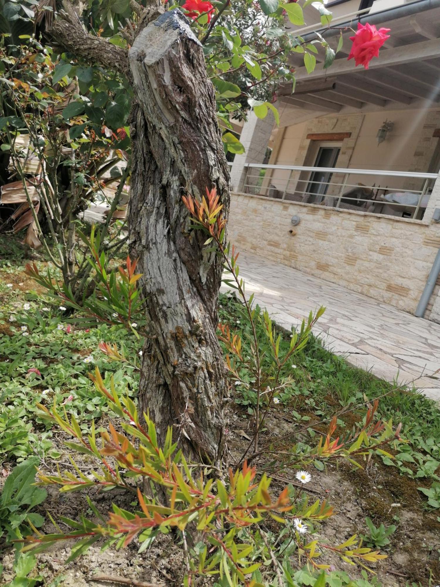 Makis Apartments Arillas  Zewnętrze zdjęcie